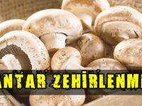 MANTAR ZEHİRLENMESİ