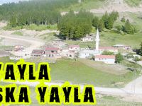 BU YAYLA BAŞKA YAYLA