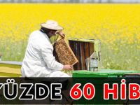 GÜMÜŞHANELİ ARICILARA YÜZDE 60 HİBE