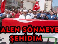 MEŞALEN SÖNMEYECEK ŞEHİDİM