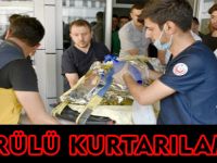 KÖPRÜLÜ KURTARILAMADI