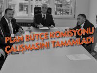 PLAN BÜTÇE KOMİSYONU ÇALIŞMASINI TAMAMLADI
