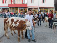 ORGANİK TARIM FESTİVALİ DÜZENLENDİ