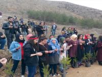 KYK ÖĞRENCİLERİ FİDAN DİKTİ