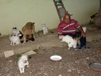 SOKAK HAYVANLARINI BESLEYEREK HUZUR BULUYOR