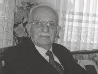 BİR ÇINAR DAHA DEVRİLDİ