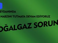 DOĞALGAZ SORUNU ?
