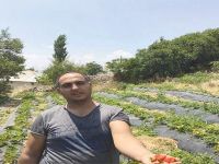 GENÇ ÇİFTÇİ DOĞAL ÇİLEK ÜRETİMİNE BAŞLADI