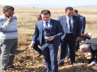 TARLALAR BEREKETLENDİ