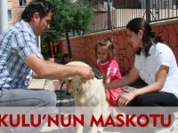 ANAOKULU'NUN MASKOTU "BADİ"
