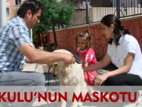 ANAOKULU'NUN MASKOTU "BADİ"