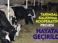 TARIMSAL KALKINMA KOOPERATİFİ PROJESİ