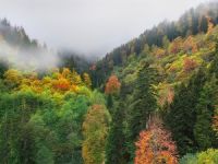 Doğu Karadeniz’e Büyük Destek