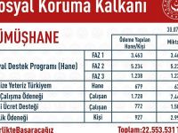 Gümüşhane'ye 22,5 Milyon Liralık Salgın Desteği