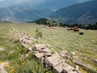 KAN AKAN YAYLA DERESİ