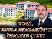 TOKİ, ARZULARKABAKÖY’DE İHALEYE ÇIKTI