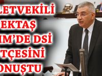 MİLLETVEKİLİ PEKTAŞ TBMM’DE DSİ BÜTÇESİNİ KONUŞTU