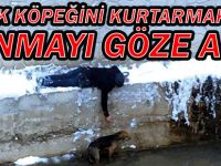 SOKAK KÖPEĞİNİ KURTARMAK İÇİN DONMAYI GÖZE ALDI