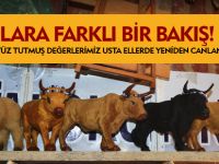 ODUNLARA FARKLI BİR BAKIŞ