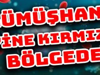 GÜMÜŞHANE YİNE KIRMIZI BÖLGEDE