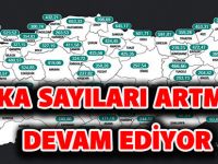GÜMÜŞHANE'DE VAKA SAYILARI ARTMAYA DEVAM EDİYOR