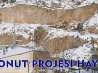 42 KONUT PROJESİ HAYATTA