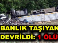 KURBANLIK TAŞIYAN TIR DEVRİLDİ: 1 ÖLÜ