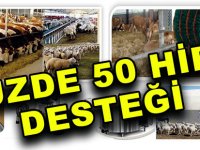 BÜYÜKBAŞ VE KÜÇÜKBAŞ HAYVANCILIK İŞLETMELERİNE YÜZDE 50 HİBE DESTEĞİ