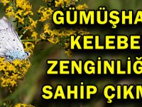 GÜMÜŞHANE, KELEBEK ZENGİNLİĞİNE SAHİP ÇIKMALI