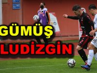 GÜMÜŞ DOLUDİZGİN