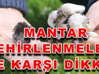 MANTAR ZEHİRLENMELERİNE KARŞI DİKKAT