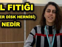 BEL FITIĞI (LOMBER DİSK HERNİSİ)NEDİR