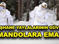 GÜMÜŞHANE YAYLALARININ GÜVENLİĞİ KOMANDOLARA EMANET