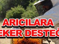 ARICILARA ŞEKER DESTEĞİ