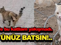 Kelkit’e bu katliam yakışmadı. BÜYÜNÜZ BATSIN!..