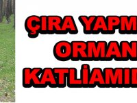 Karadeniz’in çam ormanlarındaki yontma taş devrinden kalma manzaralar, görenleri hayretler içerisinde bırakıyor. ÇIRA YAPMAK ORMAN KATLİAMIDIR