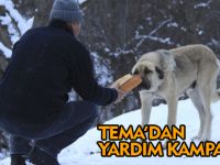 TEMA KAMPANYA BAŞLATTI