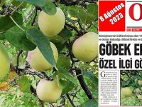 GÖBEK ELMASI İÇİN COĞRAFİ İŞARET BAŞVURUSU YAPILDI MI?