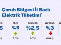 GÜMÜŞHANE’DE ELEKTRİK TÜKETİMİ AZALDI