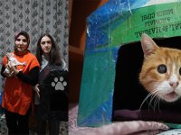 GÜMÜŞHANE’DE ÖĞRENCİLER ENGELLİ KEDİLERE KEDİ EVİ YAPTI