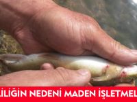 KİRLİLİĞİN NEDENİ MADEN İŞLETMELERİ