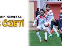 GÜMÜŞHANESPOR- GÖZTEPE MAÇ ÖZETİ