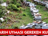 ARICILARIN UYMASI GEREKEN KURALLAR