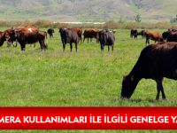YAYLA VE MERA KULLANIMLARI İLE İLGİLİ GENELGE YAYIMLANDI