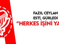 CEYLAN: HERKES İŞİNİ YAPSIN