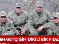 HER MEHMETÇİĞİN DİKİLİ BİR FİDANI VAR