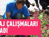 PEYZAJ ÇALIŞMALARI BAŞLADI