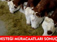 HİBE DESTEĞİ MÜRACAATLARI SONUÇLANDI