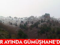 BAHAR AYINDA GÜMÜŞHANE'DE KAR