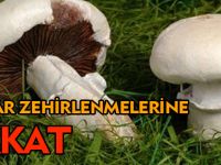 Mantar zehirlenmelerine dikkat